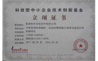 科技型中小企業技術創(chuàng)新基金立項證書
